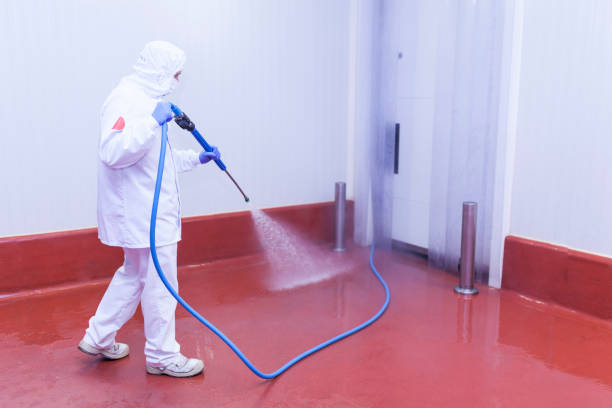 Best Restaurant Pressure Washing  in San Marcos, CA